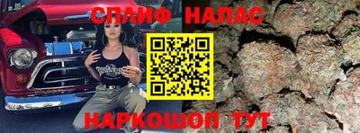 spice Новодвинск