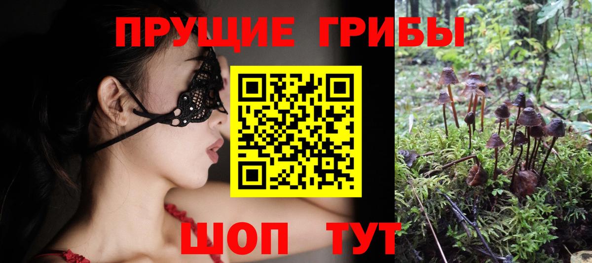 Галлюциногенные грибы прущие грибы  Вход с VPN  продажа наркотиков  Сальск  Псилоцибиновые грибы MAGIC MUSHROOMS 