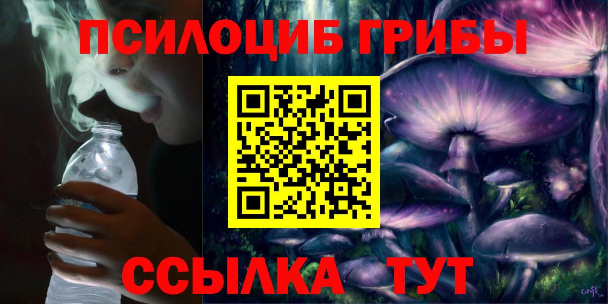 Галлюциногенные грибы Cubensis Сальск