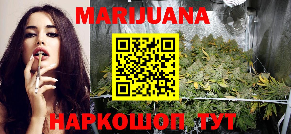 Канабис ГИДРОПОН Сальск
